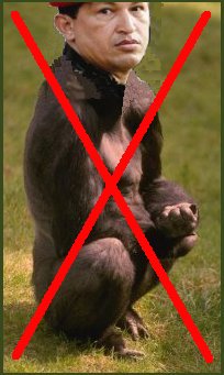 gorila no