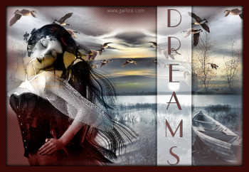 dreams