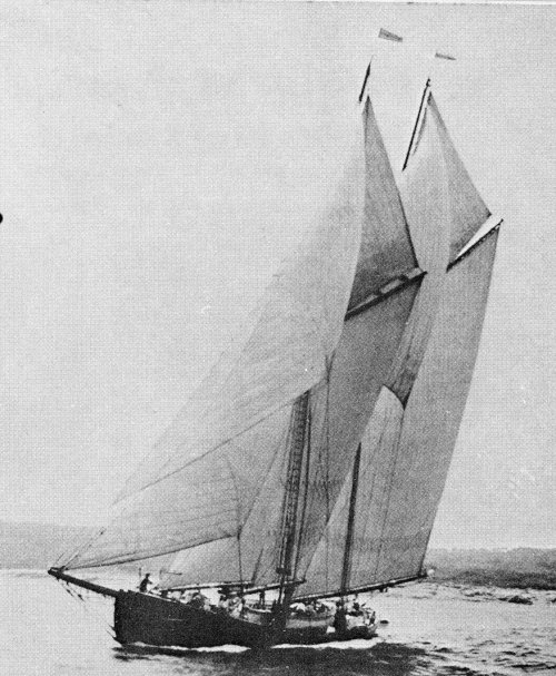 Schooner_Oriole