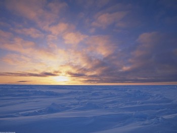 Arctic_Ice_Pack_at_Sunset,_Canada