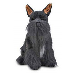 schnauzer