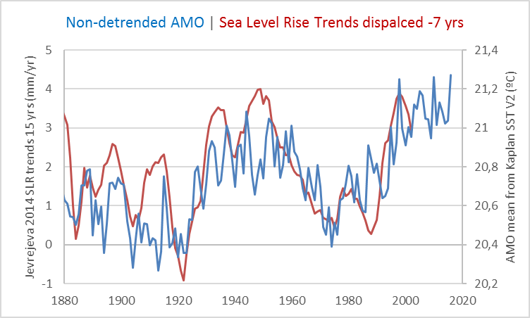 amo-slr-trends-dsplcd