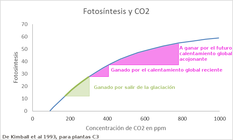 fotosintesis-y-co2-2