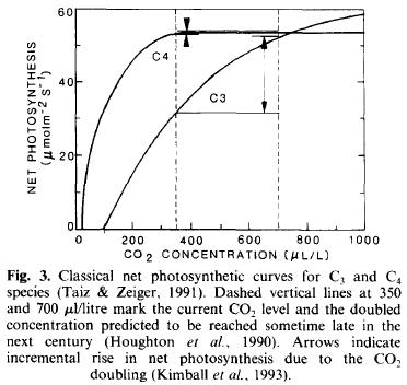 fotosintesis-y-co2-kimball-1993