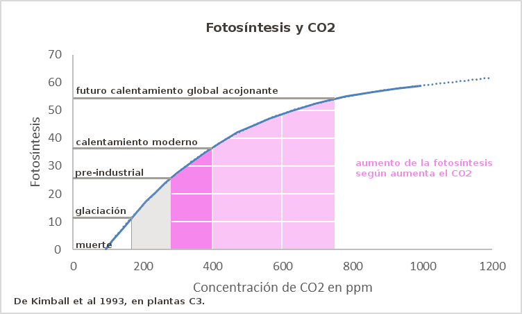 fotosintesis-y-co2