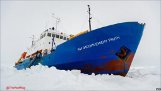 Spiritofmawson