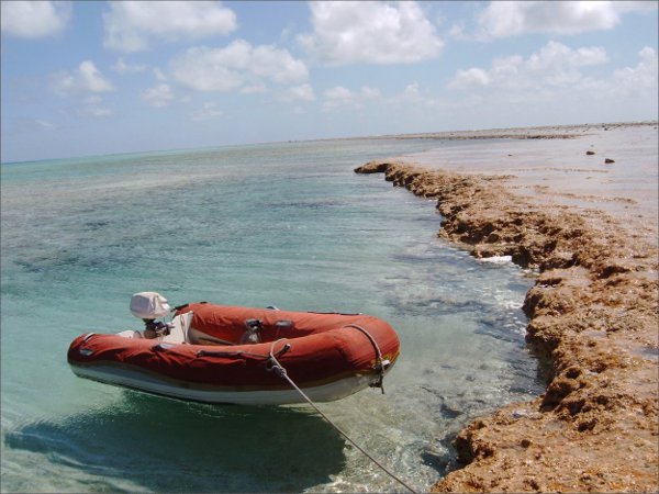 arrecife-minerva