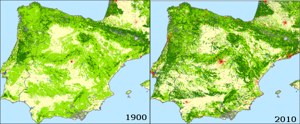 los-bosques-que-no-se-le-han-quemado-a-julia