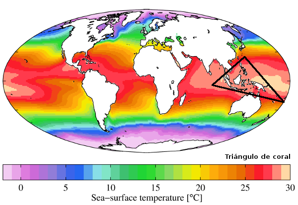 triangulo-coral-mapamundi