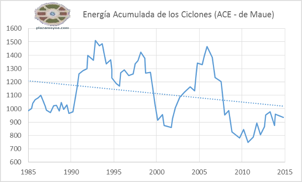 ace-maue-pm