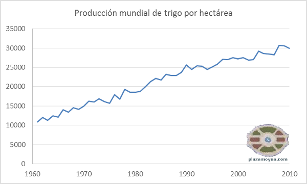 trigo-por-superficie