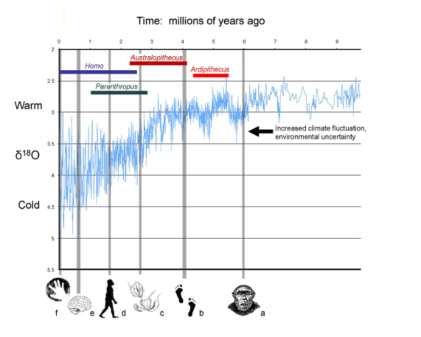 variability-selection-climate