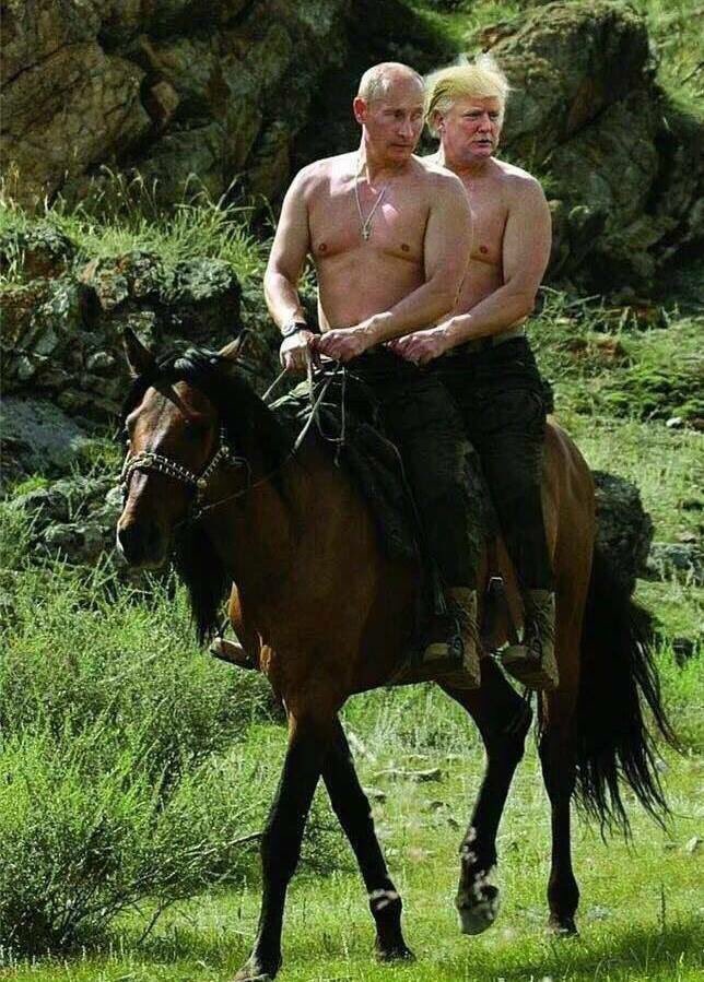 trump-putin