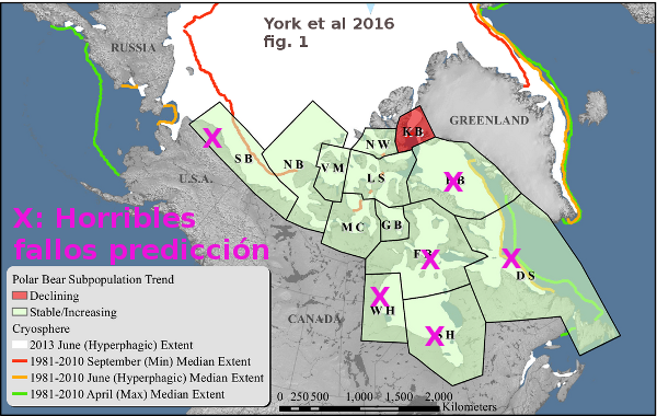 osos-york-no-desaparecidos-2