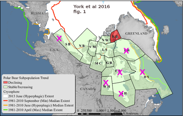 osos-york-no-desaparecidos