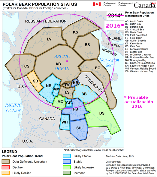 osos-polares-no-peligro-actualizado-2016