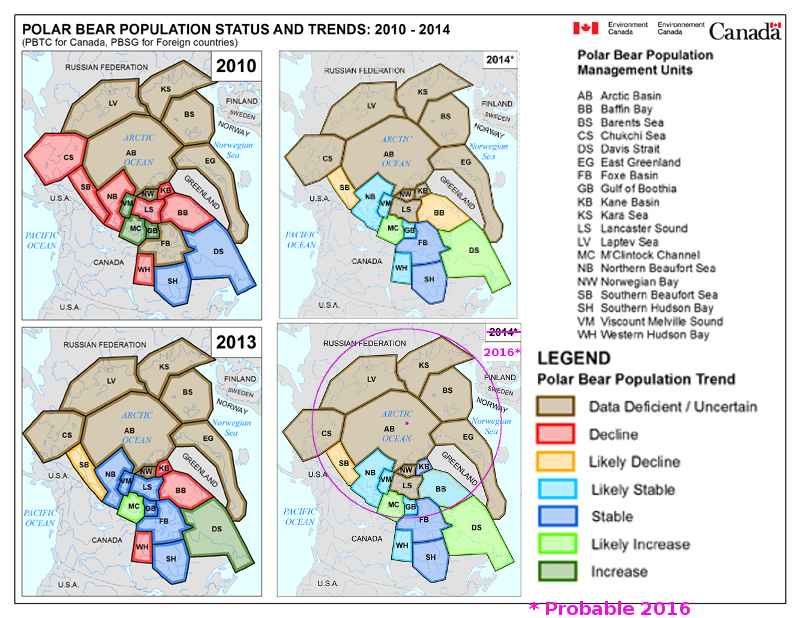 polarbearstatus_history