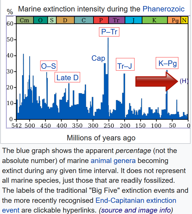 extinciones-wikipedia-holoceno