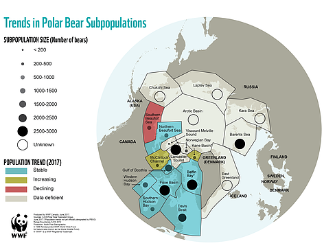 polar_bear_populations_2017_06_603172