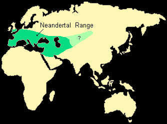 neandertales-rango