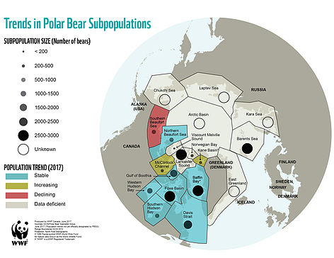 wwf-polar_bear_populations_2017_06_603172