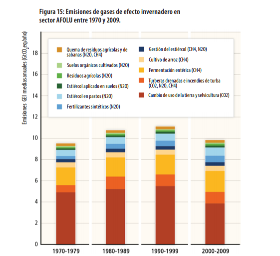 6-incendios-mundiales-en-turberas-IPCC