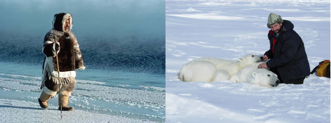 inuit-vs-derocher