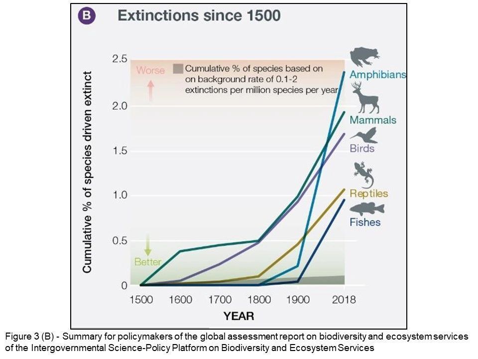 Species-extinction-since-1500